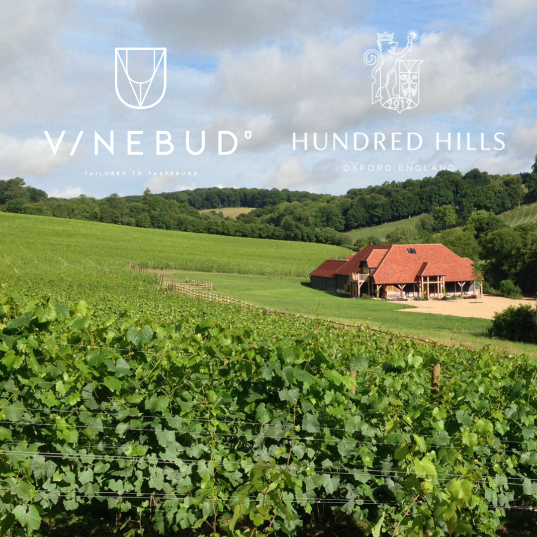 Image of Vinebud with Hundred Hills 